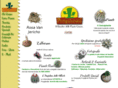 pungilandia.com