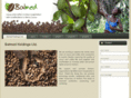 balmed.org