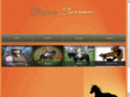 brunoserrano.com