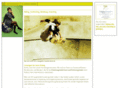 bwl-weiterbildung.com