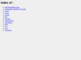 ebizbytes.com