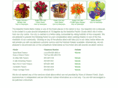 santa-maria-florist-directory.com
