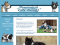 villaamstaff.com