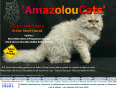 amazoloucats.com