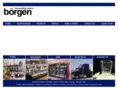 borgensystems.com
