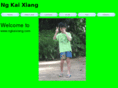 ngkaixiang.com