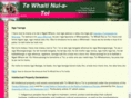 tewhaiti-nui-a-toi.maori.nz