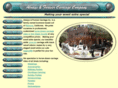 alwaysandforevercarriage.com