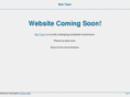 bielteam.com