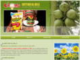 chettooroilmills.com