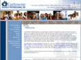 eastownefamilyphysicians.com