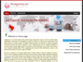 seoagency.ws