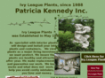 patriciakennedyinc.com