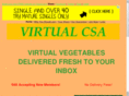 virtualcsa.com