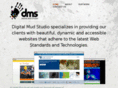 digitalmudstudio.com