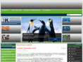 making-business-online.com