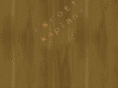 scottkaplan.com