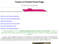 timmyferret.org