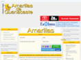 amarillasdeguanacaste.com