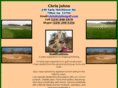 cjohnsgolf.com
