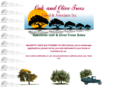 oakandolive.com
