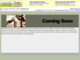 ochanga.com