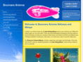 bouncersarizona.com
