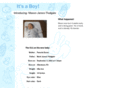 fludgate.com