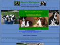 pipersspringers.com