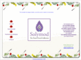 solymod.com