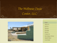 wellnessoasiscenter.com