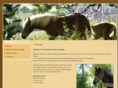 equitationelysee.com