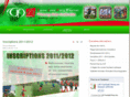 foot-cjf-fleury-45400-loiret.com