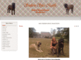 southernspicemastiffs.com