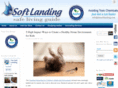 thesoftlandingblog.com