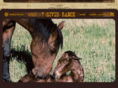 triverranch.com