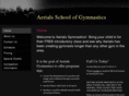 aerialsgymnastics.net