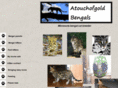 atouchofgoldbengals.com