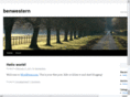 benwestern.com