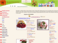 bloomonlineindia.com