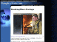 flyinglionproductions.com