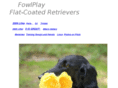 fowlplayretrievers.com