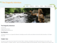 thedragonflyadventure.com