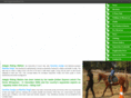 adagioridingstables.com