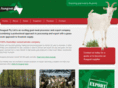 ausgoat.com