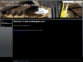 mudoilngears.com