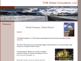 tsmglobe.com