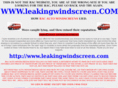 windscreenleak.com