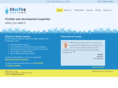 bluefiresystems.co.uk