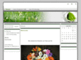 drewniok.net